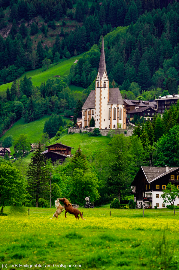 Kirche mit Pferde.jpg